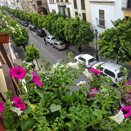 코르도바 El Capricho De San Fernando, Consigna Gratis Y Parking A 200Mts 아파트 외부 사진